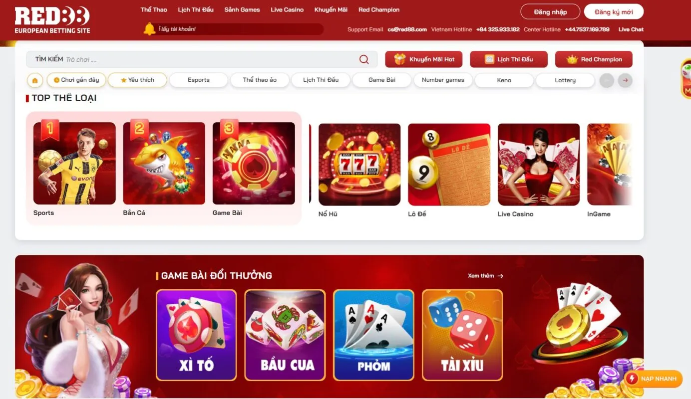 Okking và những câu hỏi chưa được giải đáp - Okking