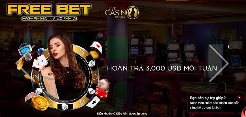 Công viên giải trí đạt chuẩn Kuwin, an toàn và hợp pháp - Kuwin