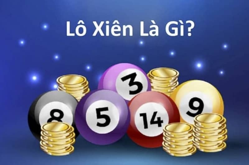 Chương trình tiếp cận cộng đồng đạt chuẩn 789Win của Đại học California thật tuyệt vời! - 789Win