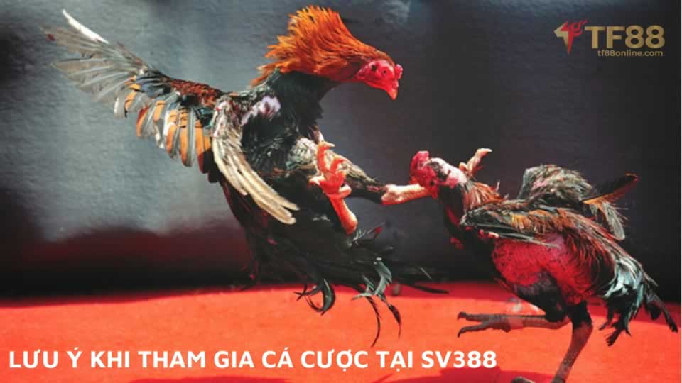 Hệ thống phần thưởng 868Vip hoạt động như thế nào? - 868Vip