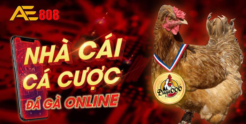 Khi đến nơi, bạn có thể tận hưởng nhiều điểm tham quan hấp dẫn của B52 | EUBET - B52