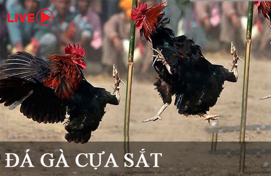 Sự phát triển của các trò chơi cấp độ Fconline ở các quốc gia khác nhau - Fconline