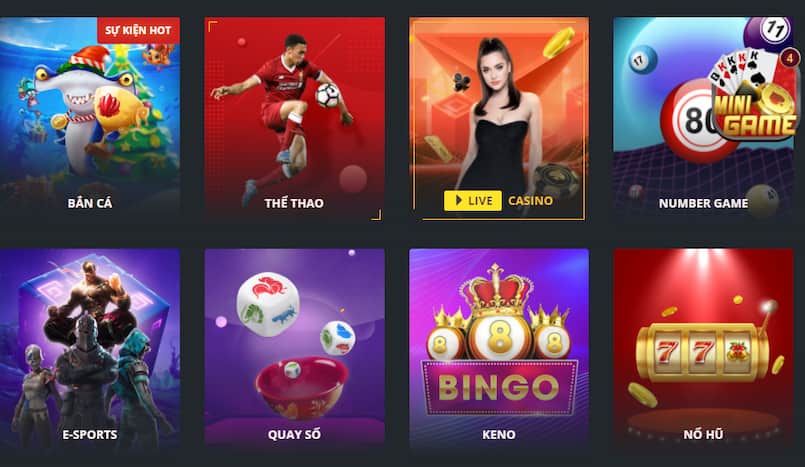 58Win cung cấp các quyền lợi độc quyền cho các thành viên VIP của mình - 58Win