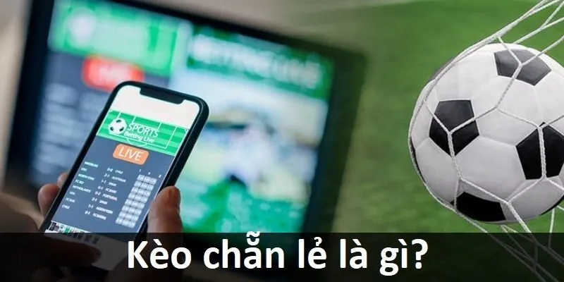 Hỗ trợ các ứng dụng game cấp độ Kubet77 trên nền tảng Android và Apple - Kubet77