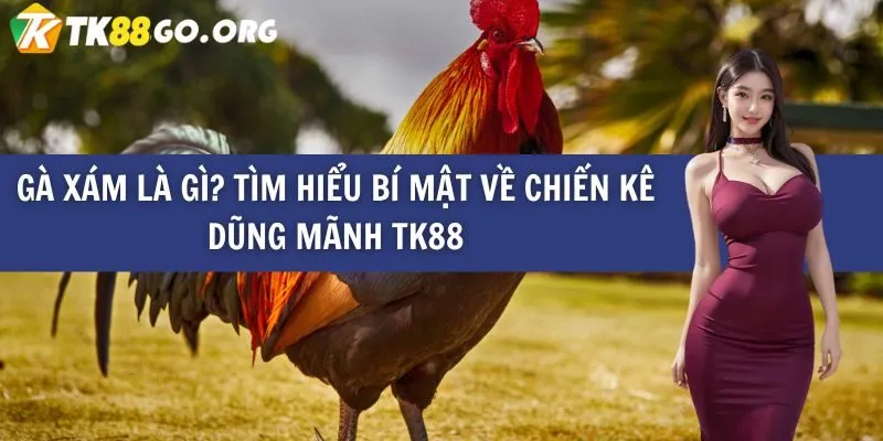 Ứng dụng Manclub phiên bản di động - Đánh giá đầy đủ cho iOS và Android - Manclub